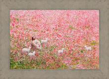 Load image into Gallery viewer, Shepherd's Rest