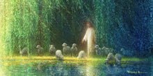 Load image into Gallery viewer, Among the Willows