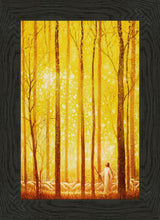 Load image into Gallery viewer, Awesome Wonder