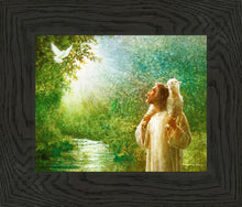 Load image into Gallery viewer, The Grace of God