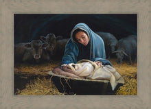 Load image into Gallery viewer, The Young Messiah