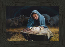Load image into Gallery viewer, The Young Messiah