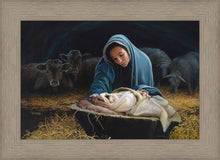 Load image into Gallery viewer, The Young Messiah