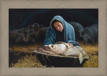 Load image into Gallery viewer, The Young Messiah