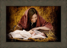 Load image into Gallery viewer, A Mother's Love