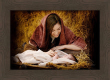 Load image into Gallery viewer, A Mother's Love