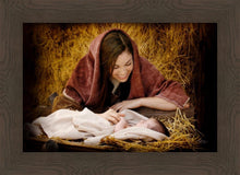 Load image into Gallery viewer, A Mother's Love