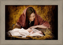 Load image into Gallery viewer, A Mother's Love