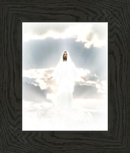Load image into Gallery viewer, Behold