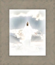 Load image into Gallery viewer, Behold