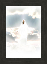Load image into Gallery viewer, Behold