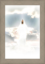 Load image into Gallery viewer, Behold