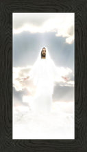 Load image into Gallery viewer, Behold