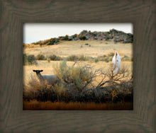 Load image into Gallery viewer, In Search of the One