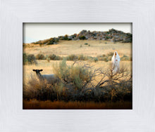 Load image into Gallery viewer, In Search of the One