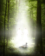 Load image into Gallery viewer, Oh How Lovely Was The Morning