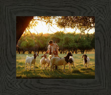 Load image into Gallery viewer, Tending the Flock