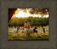 Load image into Gallery viewer, Tending the Flock