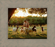 Load image into Gallery viewer, Tending the Flock