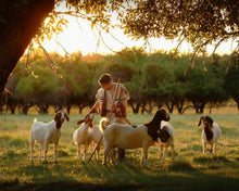 Load image into Gallery viewer, Tending the Flock