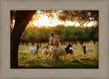 Load image into Gallery viewer, Tending the Flock