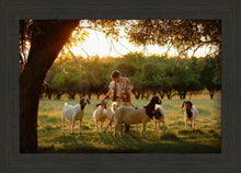 Load image into Gallery viewer, Tending the Flock