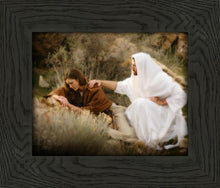 Load image into Gallery viewer, The Comforter