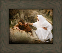 Load image into Gallery viewer, The Comforter