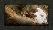 Load image into Gallery viewer, The Comforter