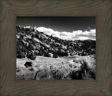 Load image into Gallery viewer, The Cove_Martins Cove