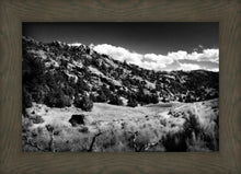 Load image into Gallery viewer, The Cove_Martins Cove