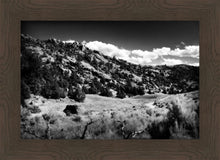 Load image into Gallery viewer, The Cove_Martins Cove