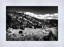 Load image into Gallery viewer, The Cove_Martins Cove