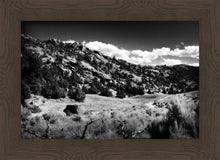 Load image into Gallery viewer, The Cove_Martins Cove