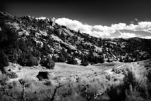 Load image into Gallery viewer, The Cove_Martins Cove