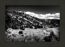 Load image into Gallery viewer, The Cove_Martins Cove