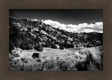 Load image into Gallery viewer, The Cove_Martins Cove