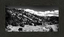 Load image into Gallery viewer, The Cove_Martins Cove