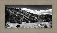 Load image into Gallery viewer, The Cove_Martins Cove