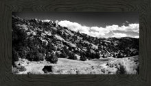 Load image into Gallery viewer, The Cove_Martins Cove