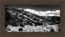 Load image into Gallery viewer, The Cove_Martins Cove
