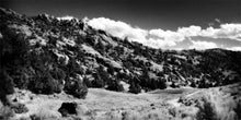 Load image into Gallery viewer, The Cove_Martins Cove