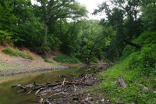 Load image into Gallery viewer, The Creek_Hauns Mill