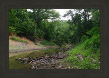 Load image into Gallery viewer, The Creek_Hauns Mill
