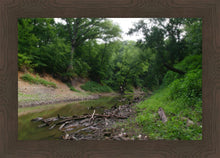 Load image into Gallery viewer, The Creek_Hauns Mill
