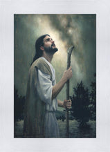Load image into Gallery viewer, In Awe of His Creations