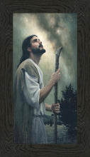Load image into Gallery viewer, In Awe of His Creations