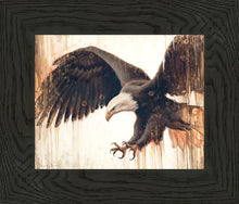 Load image into Gallery viewer, Liberty