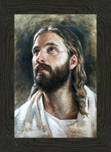 Load image into Gallery viewer, Savior