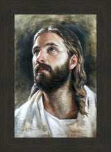 Load image into Gallery viewer, Savior